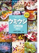 新版 ウミウシ(ネイチャーウォッチングガイドブック)