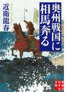 奥州戦国に相馬奔る(実業之日本社文庫)