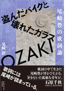 尾崎豊の歌詞論