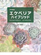 多肉植物エケベリアハイブリッド