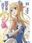 異世界迷宮でハーレムを　１１(ヒーロー文庫)