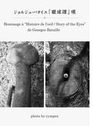 ジョルジュ・バタイユ「眼球譚」頌 二十世紀で最も凶暴な官能小説から