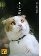 まる文庫(講談社文庫)