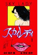 スカイレディ　1(マンガの金字塔)