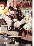 gateau (ガトー) 2021年2月号 ver.B(gateau)