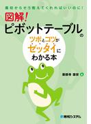 図解！ ピボットテーブルのツボとコツがゼッタイにわかる本