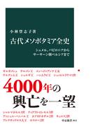 古代メソポタミア全史　シュメル、バビロニアからサーサーン朝ペルシアまで(中公新書)