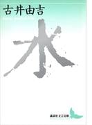 水(講談社文芸文庫)