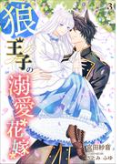 狼王子の溺愛花嫁（３）(アマゾナイトノベルズ)