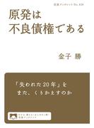 原発は不良債権である(岩波ブックレット)