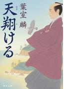 天翔ける(角川文庫)