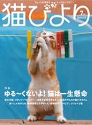 猫びより2020年7月号　Vol.112