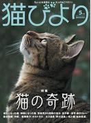 猫びより2019年5月号　Vol.105