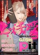 GUSHpit ビッチ受け