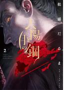 太陽と月の鋼 2(ビッグコミックス)
