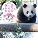 毎日シャンシャン2017-2021