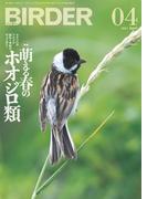 BIRDER2021年4月号