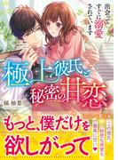 極上彼氏と秘密の甘恋～出会ってすぐに溺愛されています～(マーマレード文庫)