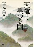 天離り果つる国（下）