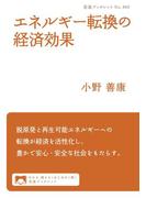 エネルギー転換の経済効果(岩波ブックレット)