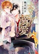 箱入りオメガは溺愛される【SS付】【イラスト付】(カクテルキス文庫)