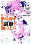 転生したら第七王子だったので、気ままに魔術を極めます（３）