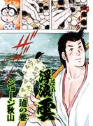 浮浪雲（はぐれぐも） 76(ビッグコミックス)