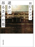 逆さに吊るされた男(河出文庫)