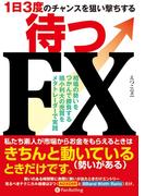 ～1日3度のチャンスを狙い撃ちする～待つFX