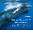 まいごになった子どものクジラ　～南太平洋トンガ王国のザトウクジラ～（小学館の図鑑NEOの科学絵本）(小学館の図鑑NEO)