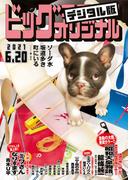 ビッグコミックオリジナル　2021年12号（2021年6月5日発売)