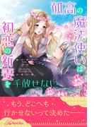 【全1-6セット】孤高の魔法使いは初恋の新妻を手放せない【イラスト付】(ロイヤルキス)