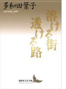 溶ける街　透ける路(講談社文芸文庫)