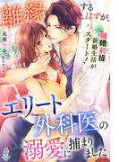 離縁するはずが、エリート外科医の溺愛に捕まりました(マカロン文庫)