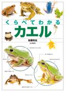 くらべてわかるカエル