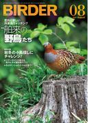 BIRDER2021年8月号