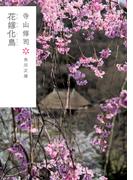 花嫁化鳥(角川文庫)