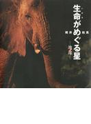 生命がめぐる星ー地球ー