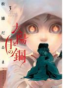 太陽と月の鋼 3(ビッグコミックス)