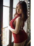 蝶のささやき 香坂紗梨【グラビア写真集】(PRESTIGE PHOTOGENICS)