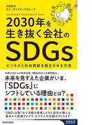 2030年を生き抜く会社のSDGs(青春新書INTELLIGENCE)