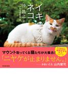 イキってるネコ