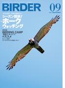 BIRDER2021年9月号