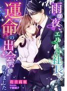 雨の夜、エリート社長と運命の出会いがありました(こはく文庫)