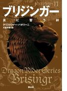 【11-15セット】ドラゴンライダー