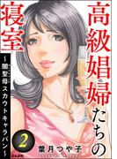 高級娼婦たちの寝室 ～闇聖母スカウトキャラバン～ （2）(ストーリーな女たち)