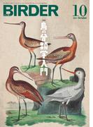 BIRDER2021年10月号