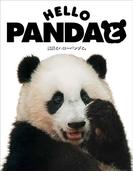 ＨＥＬＬＯ ＰＡＮＤＡと 楓浜とハローパンダと。
