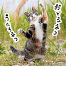 おどるネコうたうネコ