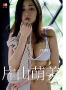デジタル原色美女図鑑　片山萌美　SECRET(デジタル原色美女図鑑)